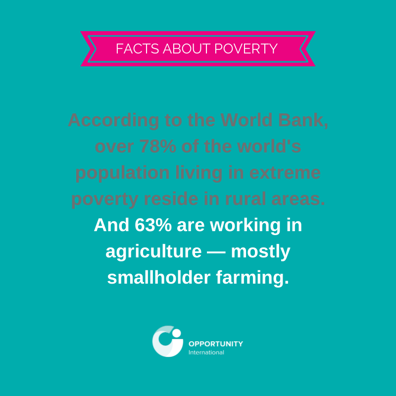 https://opportunity.org/news/blog/2014/02/facts-about-poverty