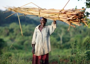 Opportunity Uganda clients like Betty Aute have access to electricity because of the new solar panel loan product.