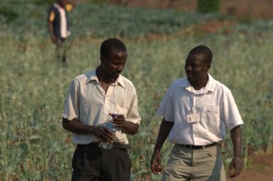Mozambican farmer Lucas Chingore (left) consults with his loan officer Ricardo Domingos.