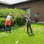 Weeding on the Grace Church grounds.