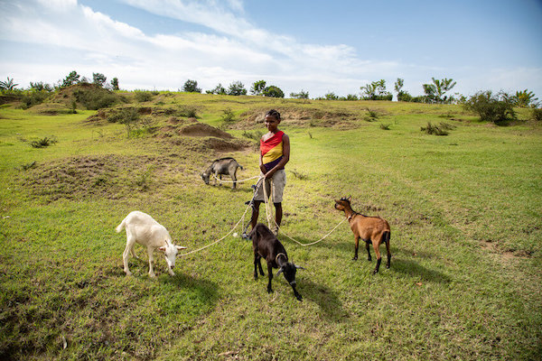 A farmer in Haiti