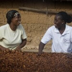 Ghana: Agnes Fosu Hene, an Opportunity International client, talks with her loan officer Abena Agyakowa Nketha Sarpong while examining her cocoa beans.