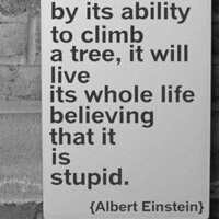 Important reminder from Albert Einstein that we all have different gifts.