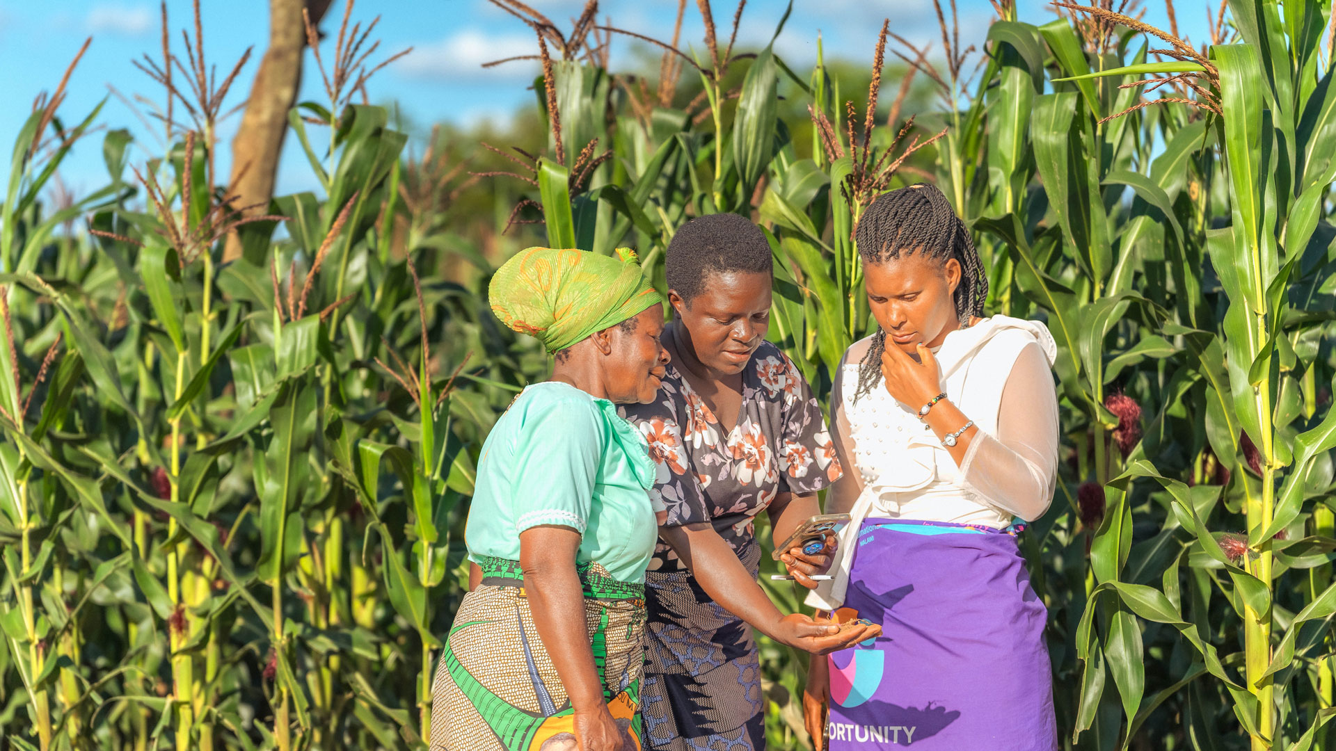 Anna, a Farmer Support Agent, uses Ulangizi AI chatbot with her farmer group members in Malawi. Ulangizi, which translates as 