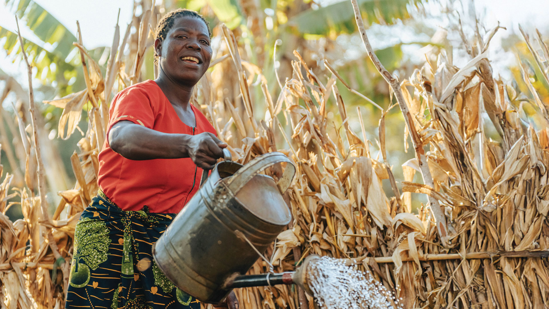 Tina, farmer and Graduation program participant in Malawi, tends to her garden, which is one of her multiple sources of income